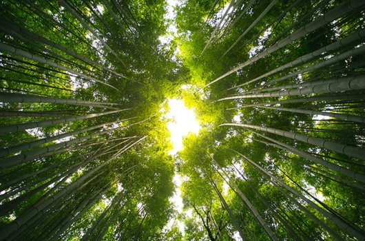 2022年度溫室氣體排放核查報(bào)告公示